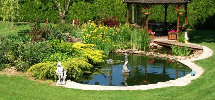 Un bassin pour son jardin